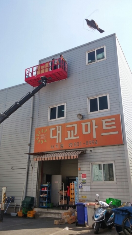 외벽창틀코킹